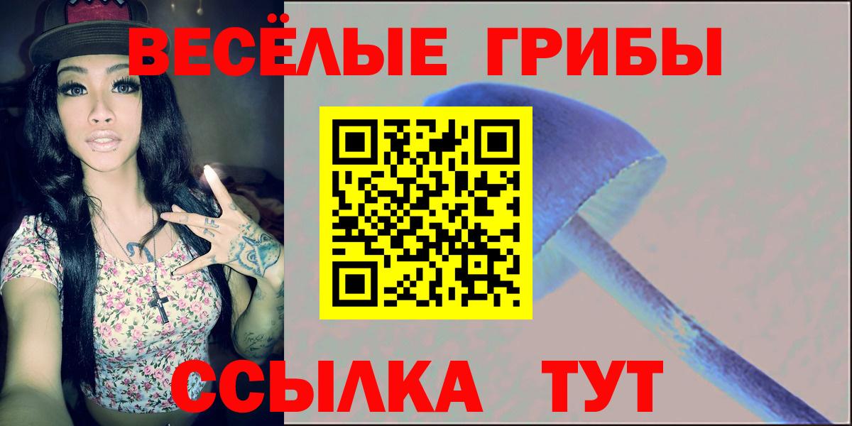 Галлюциногенные грибы Psilocybe Анапа